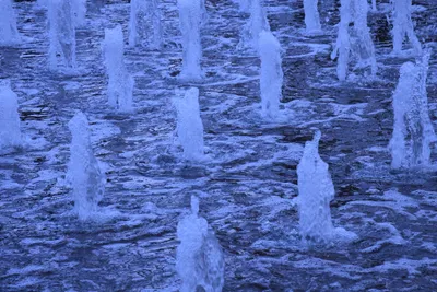 DSC_1628 (Large).JPG